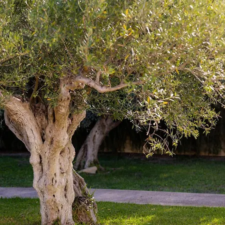 Дом отдыха Casa Da Magali *